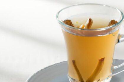 Sip Serenity: The Perks of Ginger Tea with Honey & Lemon