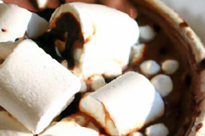 Cozy Up: Classic Hot Chocolate with Fluffy Marshmallows