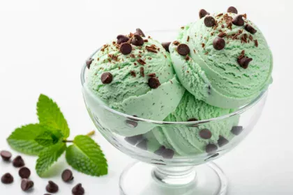 Scoops of mint chocolate chip ice cream in a bowl with chocolate chips and mint.
